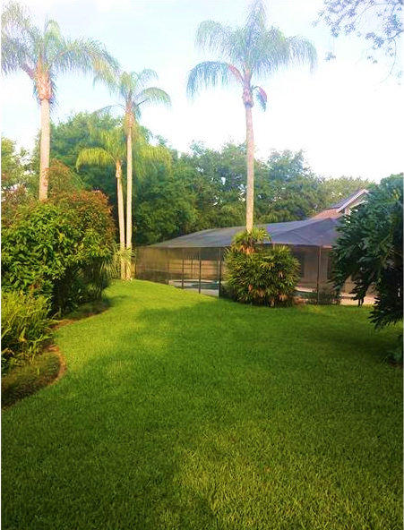 North Port Lots
